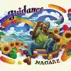 Nagare - guidance
